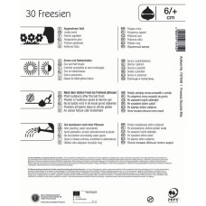 Kiepenkerl Freesien Gefüllte Mischung