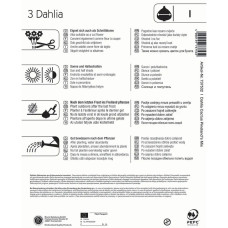 Kiepenkerl Gefranste Dahlie Pineland's Mix