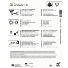 Kiepenkerl Montbretien Mischung