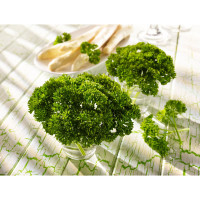 Kiepenkerl Profi-Line Petersiliensamen Grandeur® (Moskrul 2), Saatband