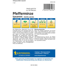 Kiepenkerl Profi-Line Pfefferminzesamen Spearmint