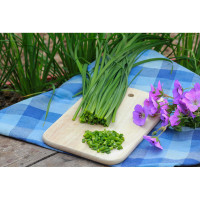 Kiepenkerl Profi-Line Schnittknoblauchsamen Fat Leaf