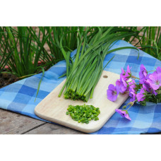 Kiepenkerl Profi-Line Schnittknoblauchsamen Fat Leaf