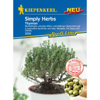 Kiepenkerl Profi-Line Thymiansamen, Multipille