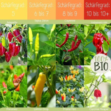 LovePlants Dein 8 Bio Chili Samen Set