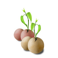 Romberg Saatkugeln 'Bienenglück'