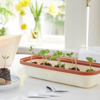 Romberg BoQube Anzuchtschale S Creme / Kupferbraun 28x5x12 cm