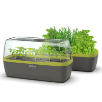 Romberg Gewächshaus & Pflanzkasten BoQube L Plus Anthrazit / Sommergrün 41x23x17 cm