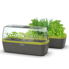 Romberg Gewächshaus & Pflanzkasten BoQube L Plus Anthrazit / Sommergrün 41x23x17 cm