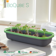 Romberg Gewächshaus & Pflanzkasten BoQube S Anthrazit / Sommergrün 28x13x12 cm