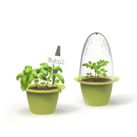 Romberg Mini-Pflanztöpfe 3er Set