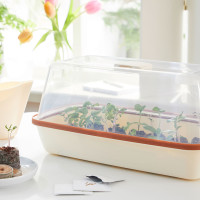 Romberg BoQube Anzuchtschale M Creme / Kupferbraun 37x6x19 cm