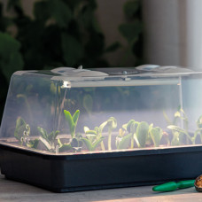 Romberg Gewächshaus Lumio M LED 38x24x19 cm