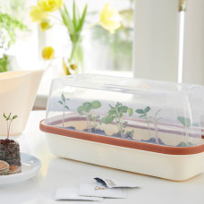 Romberg BoQube Anzuchthaube S Cream 28x12x8 cm