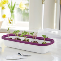 Romberg BoQube Anzuchthaube M Weiss 37x12x19 cm