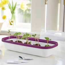 Romberg BoQube Anzuchthaube M Weiss 37x12x19 cm