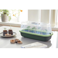 Romberg BoQube Anzuchthaube S Green Edition 28x8x12 cm