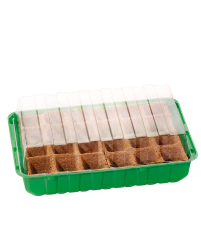 Romberg Anzuchthaus M PLUS POTS 36x22x13 cm