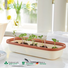 Romberg Gewächshaus & Pflanzkasten BoQube S Creme / Kupferbraun 28x13x12 cm