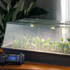 Romberg Gewächshaus Maximus Complete LED 59x27x39 cm