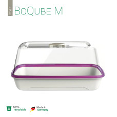 Romberg Gewächshaus & Pflanzkasten BoQube M Weiß / Pflaume 37x19x18 cm