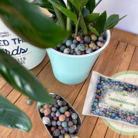 OraGarden Dekorationston Blähton - Bunt 8-16 mm 1 Liter