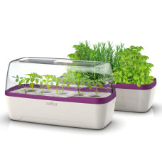 Romberg Gewächshaus & Pflanzkasten BoQube L Plus Weiß / Pflaume 41x23x17 cm