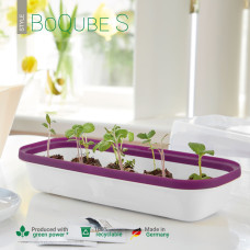 Romberg Gewächshaus & Pflanzkasten BoQube S Weiß / Pflaume 28x13x12 cm