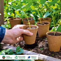 Romberg Bio-Anzuchttöpfe Rund 6 cm 96 stk