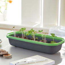 Romberg BoQube Anzuchtschale S Anthrazit / Sommergrün 28x5x12 cm
