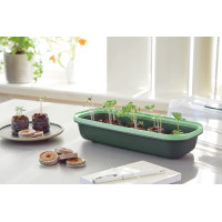 Romberg BoQube Anzuchtschale S Green Edition 28x5x12 cm