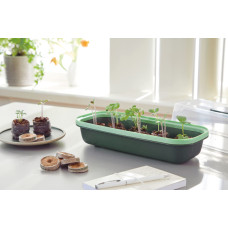 Romberg BoQube Anzuchtschale S Green Edition 28x5x12 cm