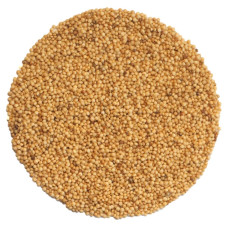 OraGarden Bio-Keimsaat Amaranth Rot (Roter Amaranth Samen) 30 g