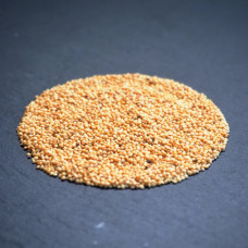 OraGarden Bio-Keimsaat Amaranth Rot (Roter Amaranth Samen) 30 g