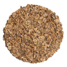 OraGarden Bio-Keimsaat Dill (Dill Samen) 15 g
