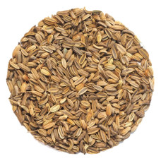 OraGarden Keimsprosskit mit Fenchel Samen