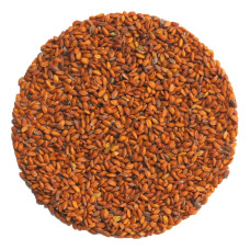 OraGarden Keimsprosskit mit Kresse Samen