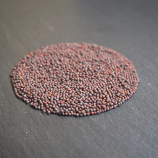 OraGarden Keimsprosskit mit Mizuna Samen