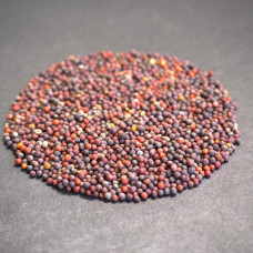 OraGarden Bio-Keimsaat Pak Choi (Pak Choi Samen) 30 g