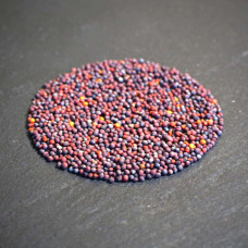 OraGarden Bio-Keimsaat Senf Rot (Senf Rot Samen) 30 g