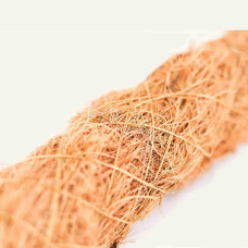 Sybotanica Moosstab 50 cm