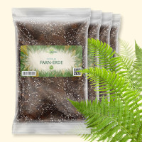 OraGarden Farn-Erde 3 Liter