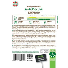 Sperli Ananasblumensamen Süßer Duft