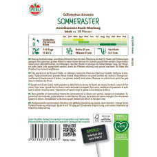 Sperli Asternsamen Amerikanische Busch-Mischung