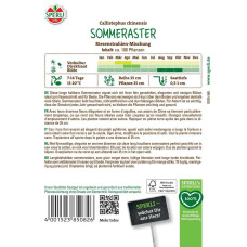 Sperli Asternsamen Riesenstrahlen-Mischung