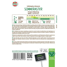 Sperli Asternsamen Pompon-Mischung