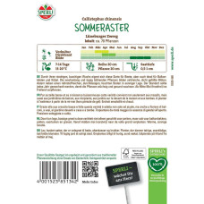 Sperli Asternsamen Lüneburger Zwerg