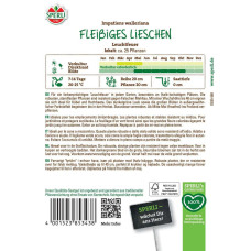 Sperli Fleißiges Lieschen Samen Leuchtfeuer