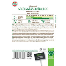 Sperli Wiesengänseblümchensamen Tausendschön