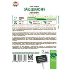 Sperli Gänseblümchensamen Prachtmischung